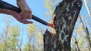 用强壮的手把斧子合上。 伐木工人在森林里砍树。 木屑<strong>飞散</strong>开来.. 工业和